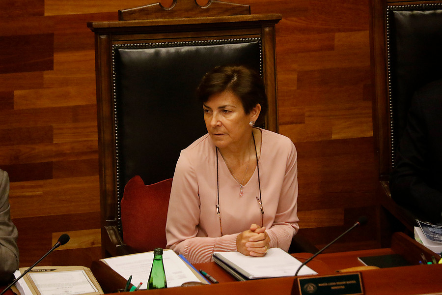 Parlamentarismo de facto: TC reafirma separación de poderes en sentencia favorable a La Moneda