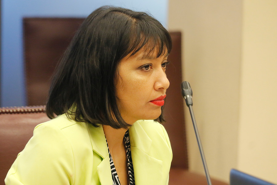 Crisis en RD: Renuncia de diputada Castillo se suma a la de Pablo Vidal
