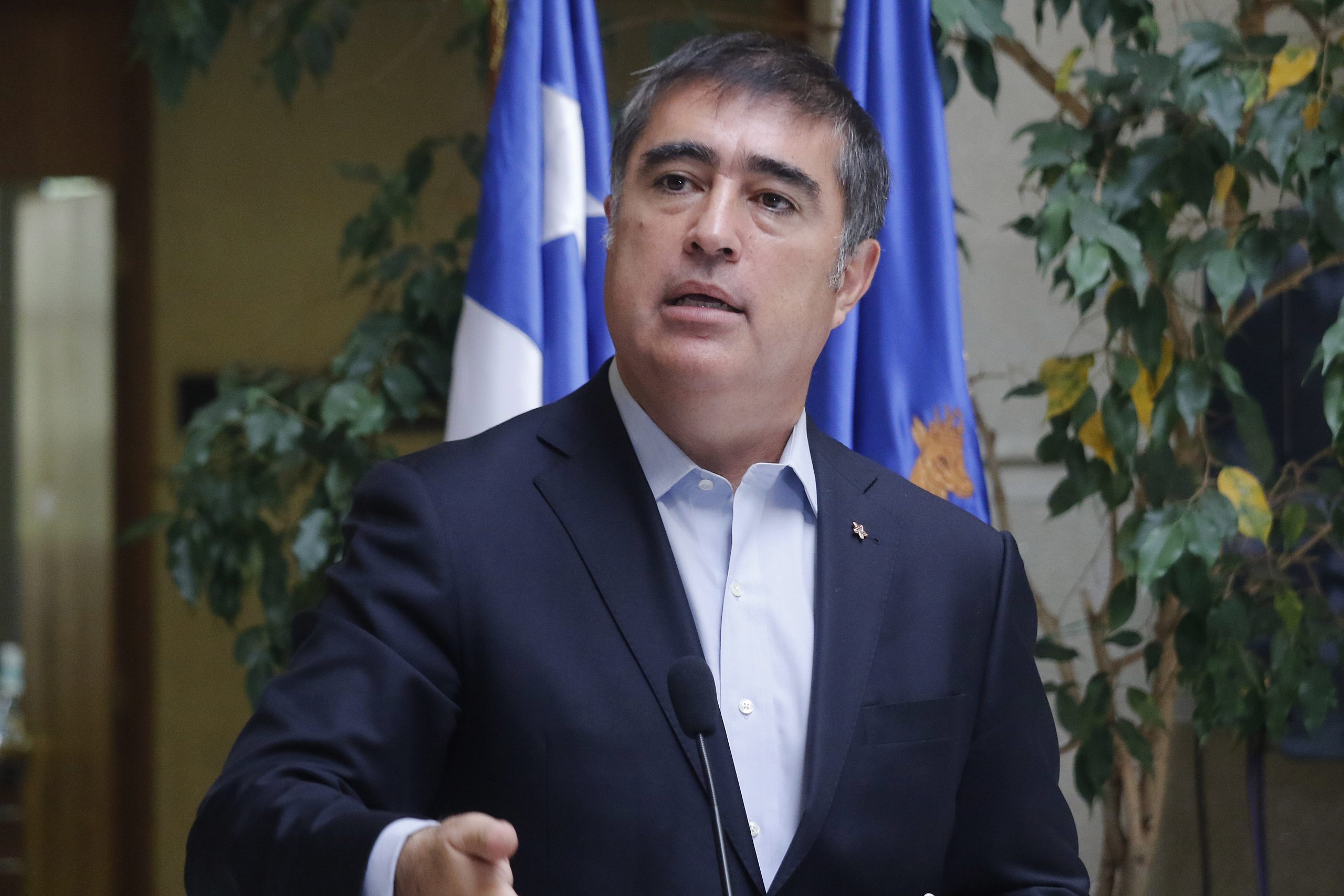 Desbordes: “Se debe enfrentar a los grupos violentos con las policías, no con las FFAA”