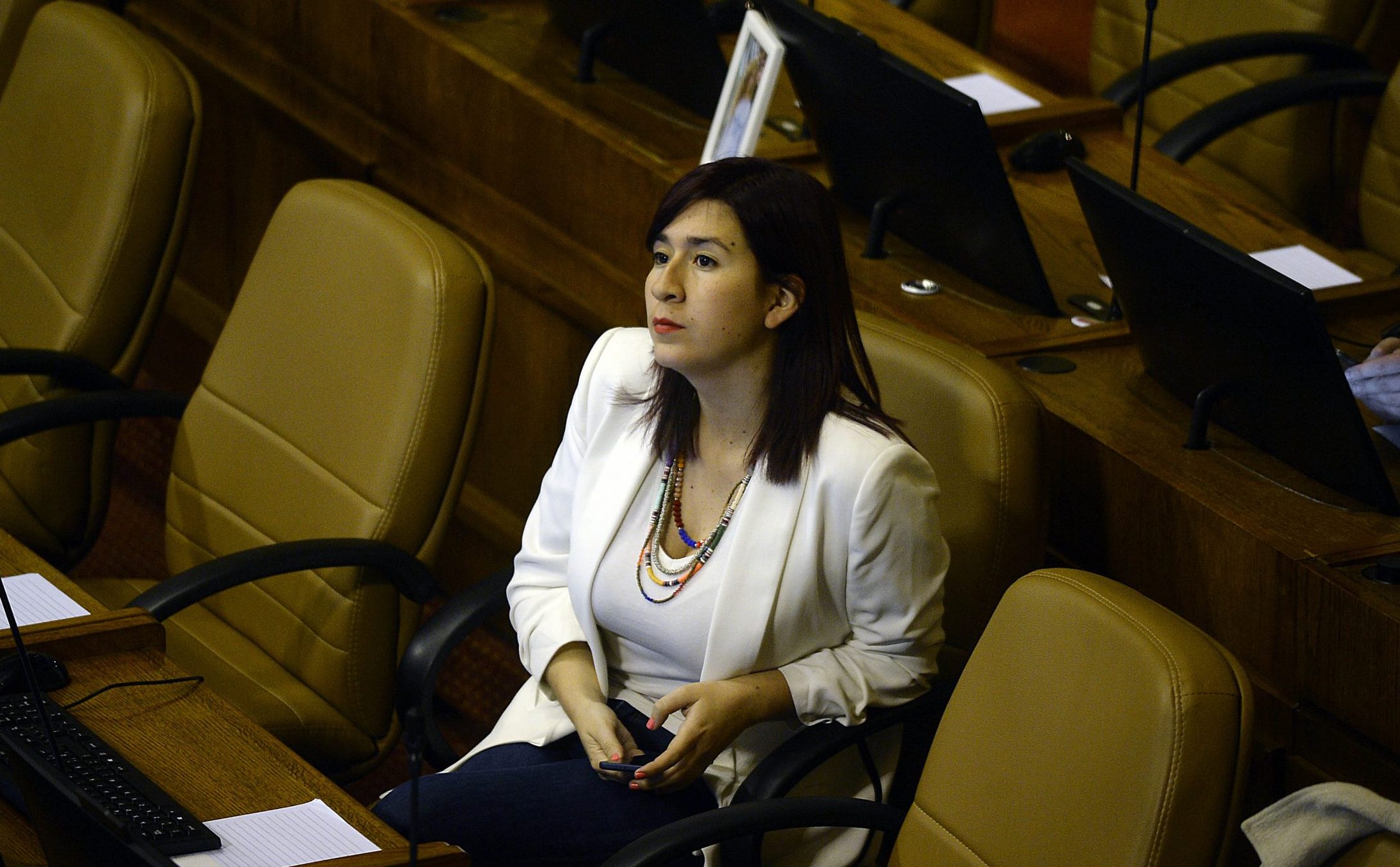 Panguipulli: Diputados presentan duro oficio a comisión de ética pidiendo sanción a Catalina Pérez