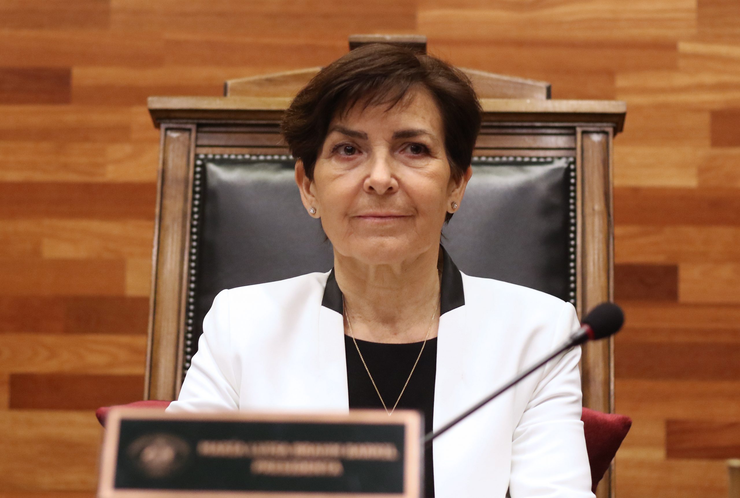 Perfil: 20 cosas que hay que saber de María Luisa Brahm, la presidenta del TC que incomoda a la izquierda
