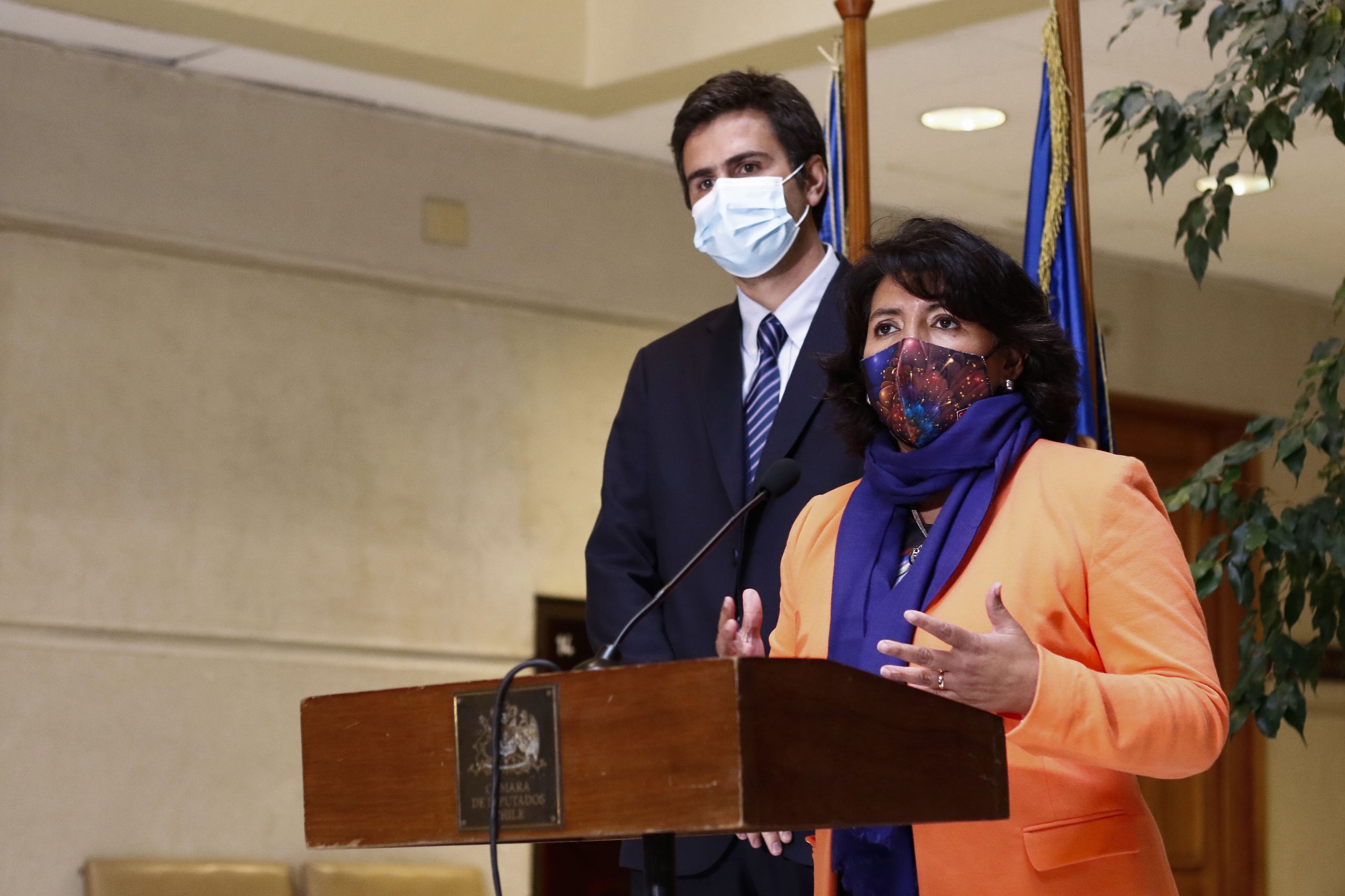 Por qué al Gobierno le incomoda la ofensiva del Senado y la Cámara para influir en el manejo de la pandemia