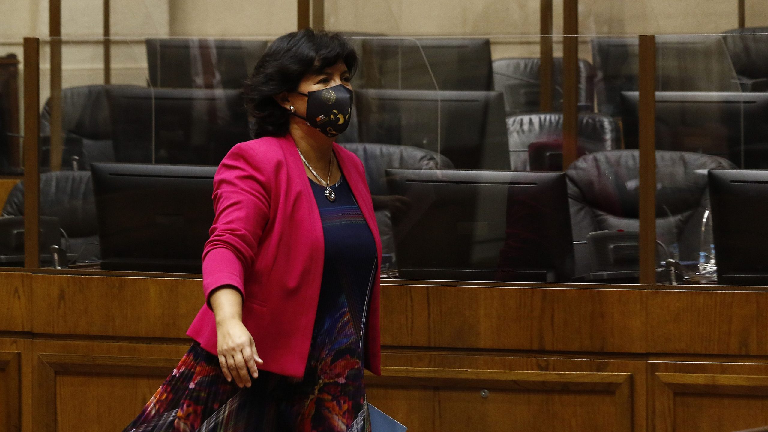 Cómo y por qué Yasna Provoste desechó incluir la agenda de DD.HH. en la negociación de “mínimos comunes” con el Gobierno