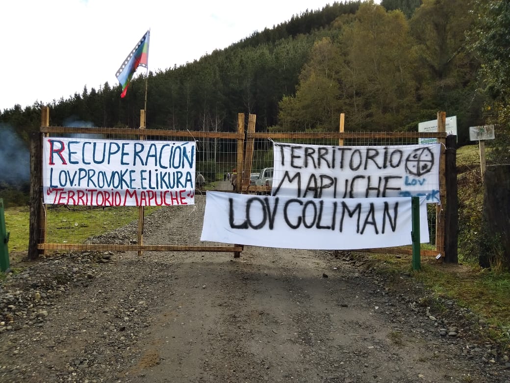 Crisis en macrozona sur: Usurpaciones de terreno crecen 342 por ciento en un año y homicidios frustrados 224 por ciento