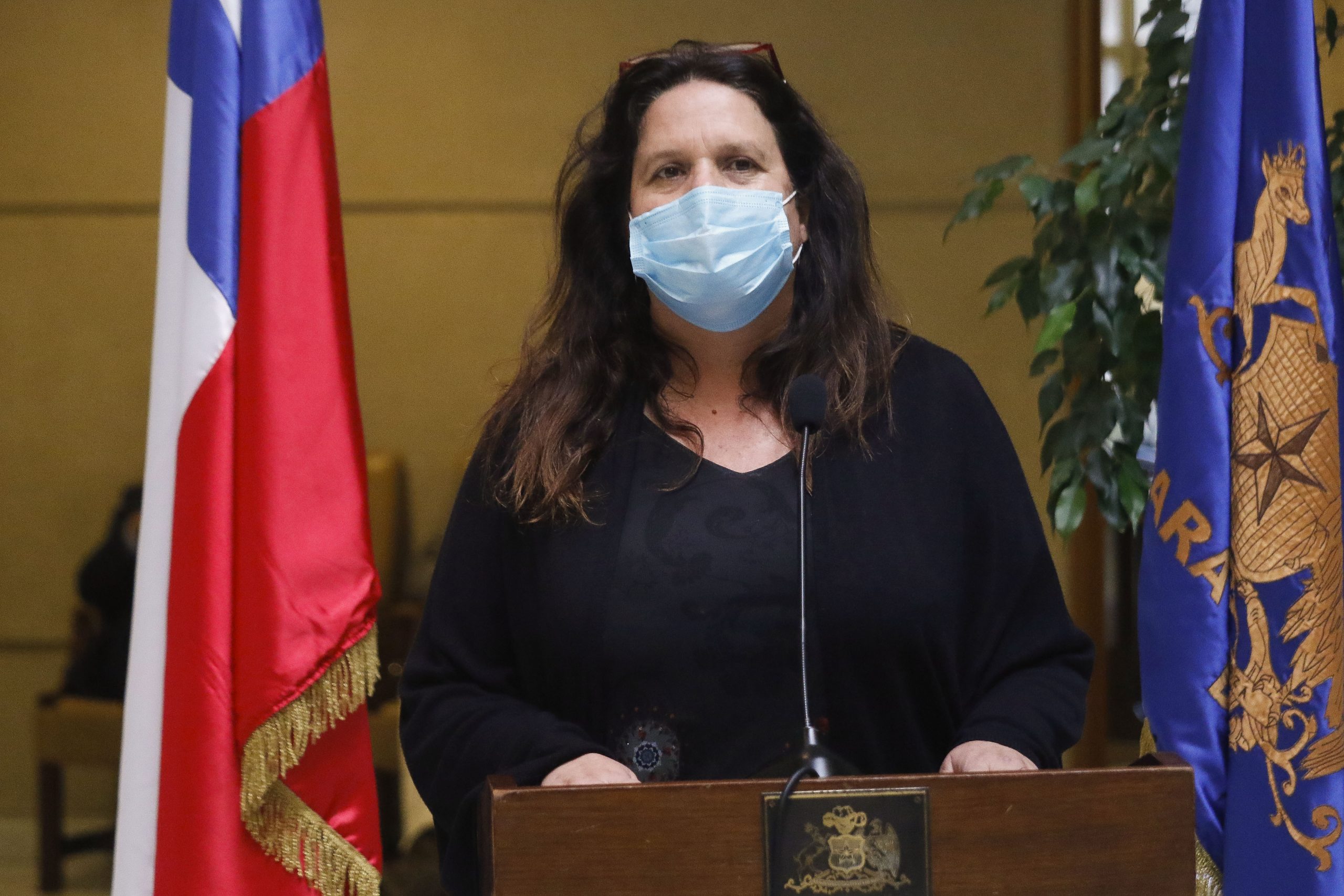 Tensión en el PS tras derrota en primarias: Maya Fernández Allende comunica que se baja de la senatorial RM y tampoco repostulará a la Cámara