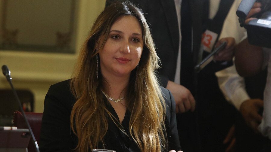 Paz Anastasiadis (DC) y la Comisión Experta: “Es necesario que nos hagamos cargo de las deudas pendientes en seguridad”