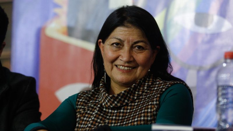 Elisa Loncon: Qué dice el informe que entregó de su año sabático que pidió indagar Contraloría