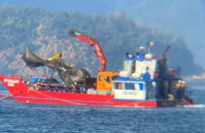 Reflotan desde el lago Ranco helicóptero en el que se accidentó Sebastián Piñera
