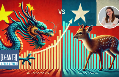 Cómo despertar a un Dragón. Por Natalia Aránguiz