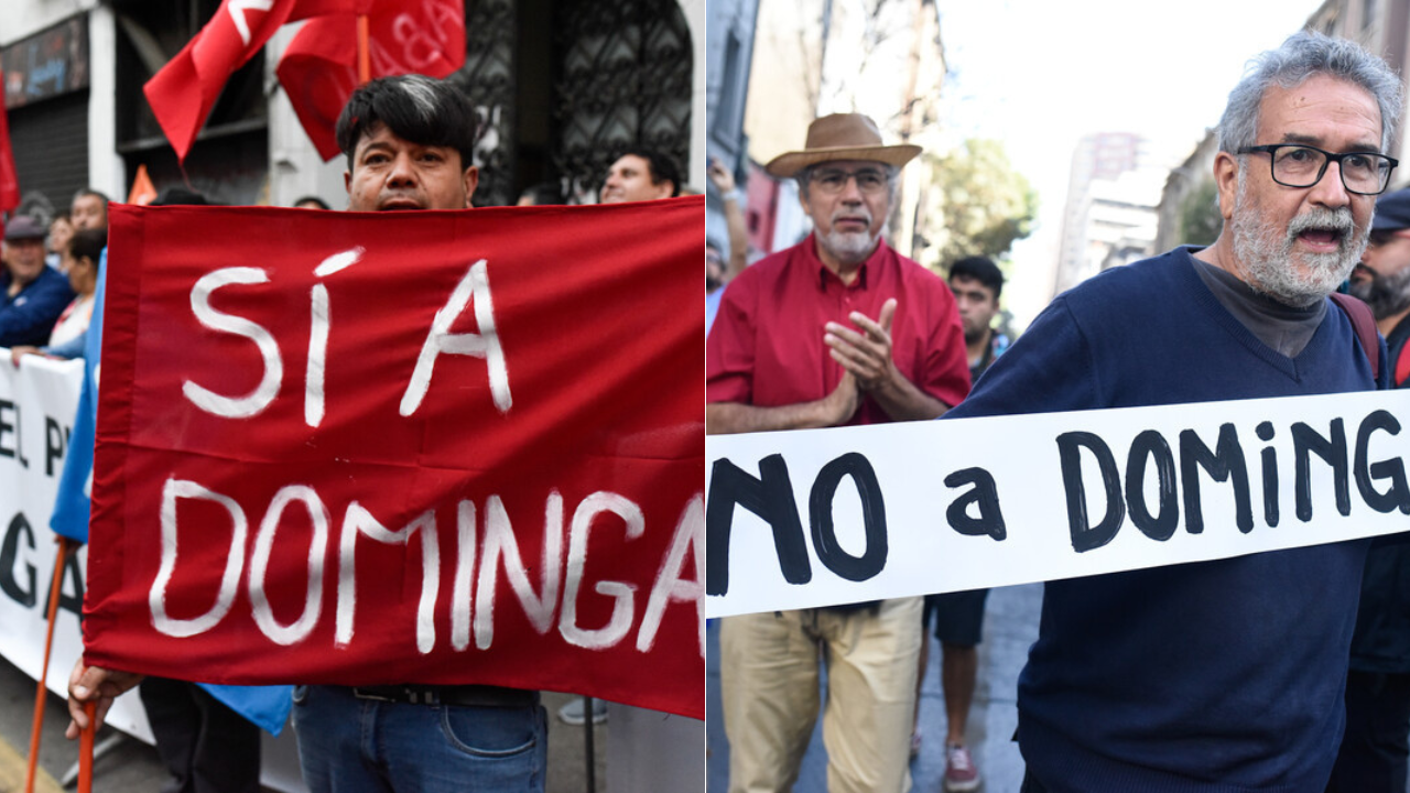 Chungungos y Naranjillos vs. Derechos Humanos: un falso dilema. Por Joaquín Lavín