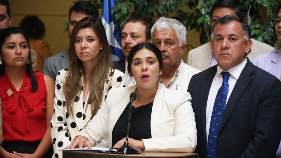 Cadem: Imagen positiva de Karol Cariola cae a 26% (Lea aquí la encuesta)
