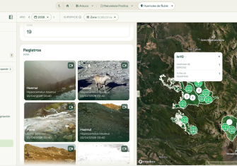 ARAUCO pone a disposición pública datos de biodiversidad a través de Lemu-Atlas
