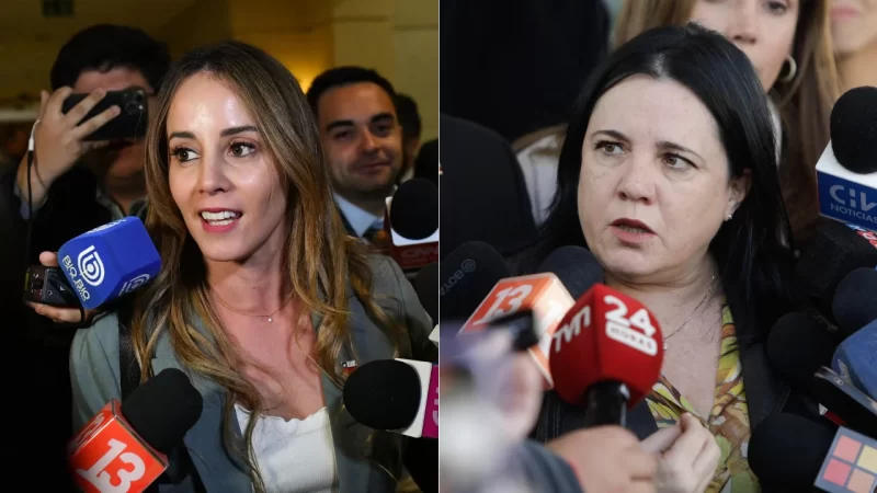 Encuesta Cadem: Sedini y Steinert sufren fuerte caída y son las peores evaluadas del gabinete
