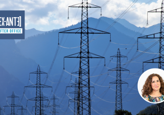 Ley de Protección Tarifaria Eléctrica: ordenar la deuda, desordenar el modelo regulatorio