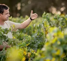Aurelio Montes y alza de arancel de Trump al vino chileno: “Existe decepción, porque se esperaba un trato distinto”